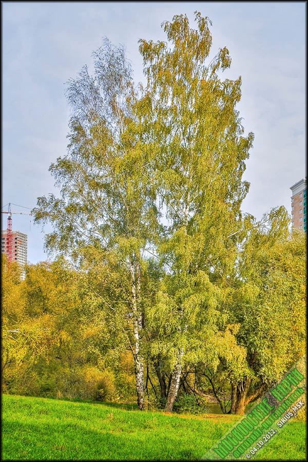 Бирюлёвские пруды - 04.10.2012