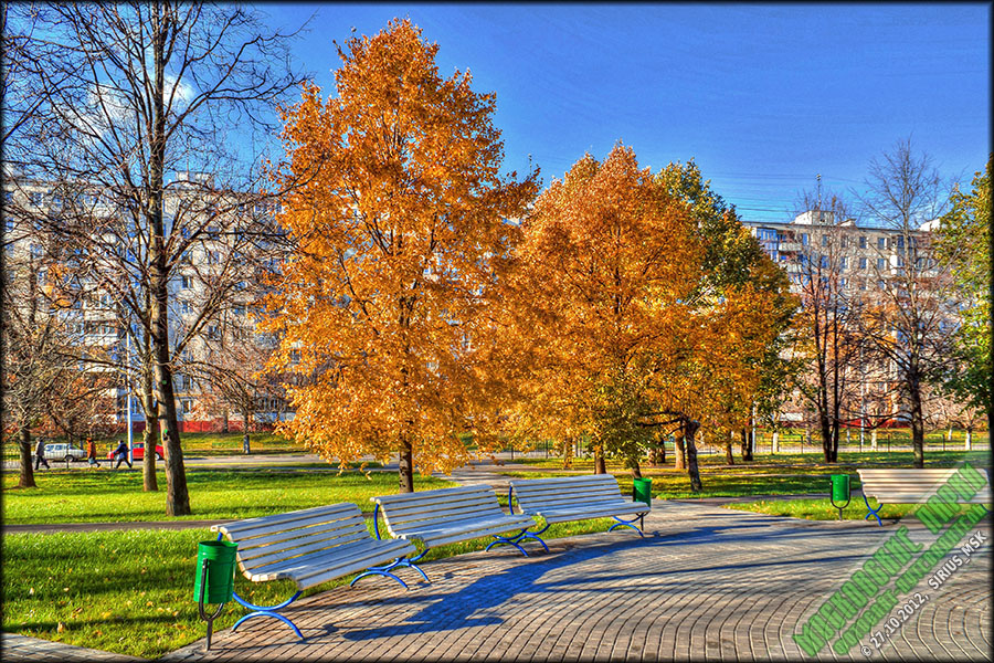 Сквер «Школьный» - 27.10.2012