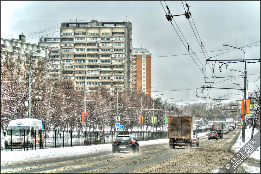 Бирюлёвский дендропарк, 13.01.2015