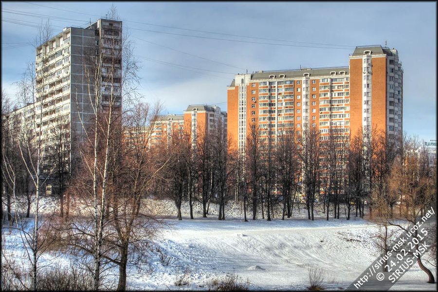 Бирюлёвский дендропарк, 24.02.2015